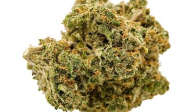 Buy Durban Poison Online Cheap