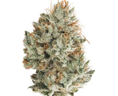 Buy Gorilla Glue #4 Online