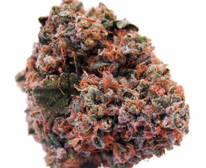 Strawberry Cough Weed Strain for Sale