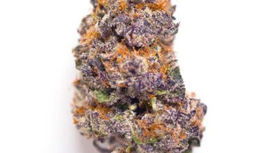 Buy Granddady Purple Online