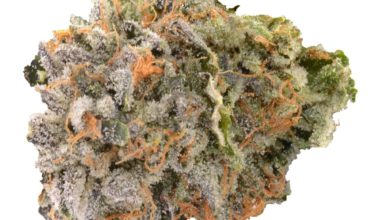 Buy Strawberry Cough Marijuana Online