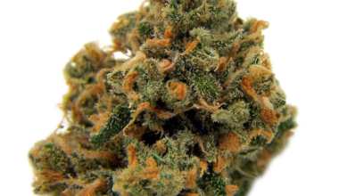 Buy our Diesel Online Cheap