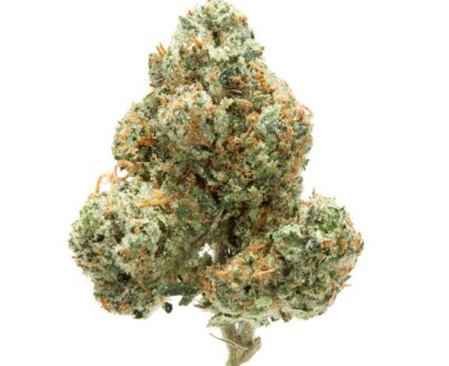 Buy Pounds of OG kush Online