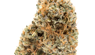 Buy OG kush online