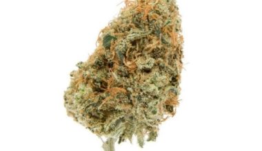 Buy Alaskan ThunderFuck Weed Online