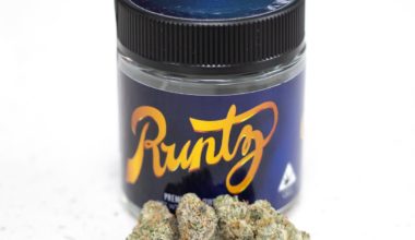 Buy Runtz Online