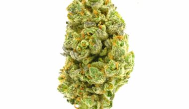 Buy Tahoe Og Weed Strain Online