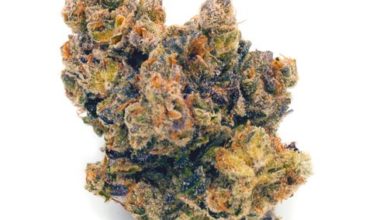 Buy Gelato weed Online