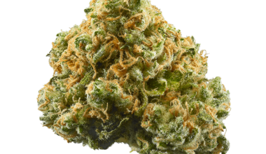 Buy Pounds of Pineapple Express for Sale