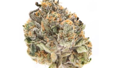 Buy Jet Fuel Pounds Online