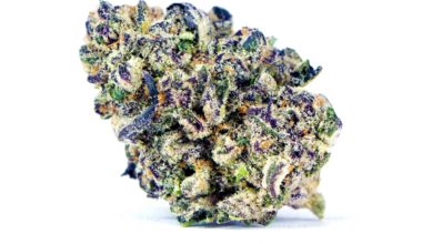 Buy High Quality Purple Punch Weed Online