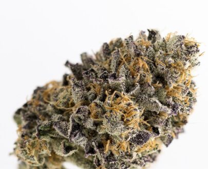 Buy Gelato 33 Weed Strain Online