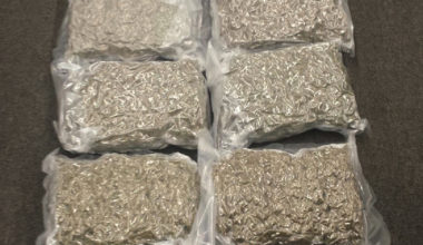 5 Full Pounds Mixed Strains