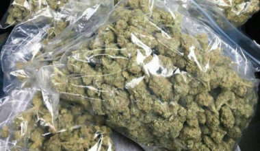 2 Full Pounds Mixed Strains