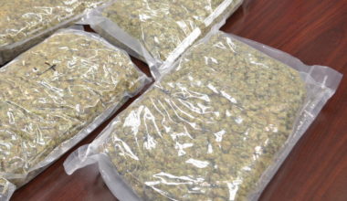 3 Full Pounds Mixed Strains