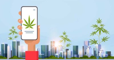 weedballer reviews, weedballer.com